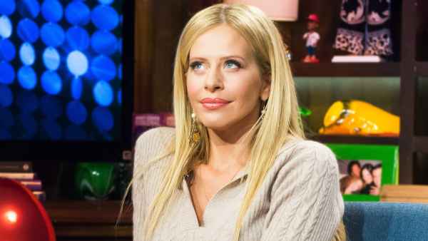Dina Manzo Reveals She 'Recently Lost a Few Pregnancies'