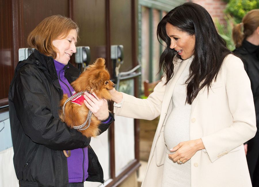 Pregnant Duchess Meghan Cracks Up Called Fat Lady London Animal Charity Dog