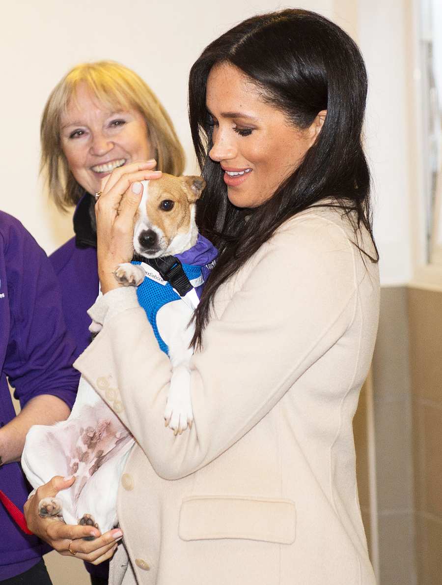 Pregnant Duchess Meghan Cracks Up Called Fat Lady London Animal Charity Dog
