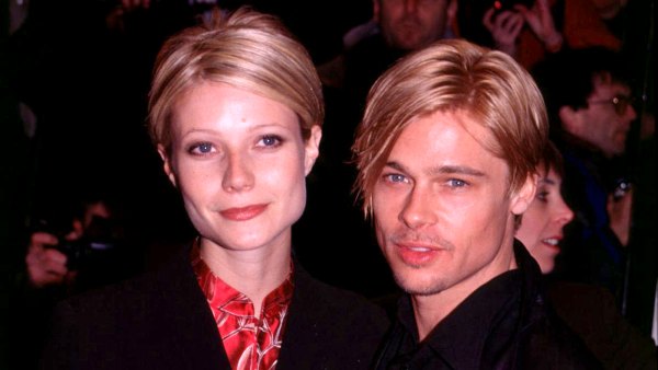 brad-pitt-paltrow-look-alike