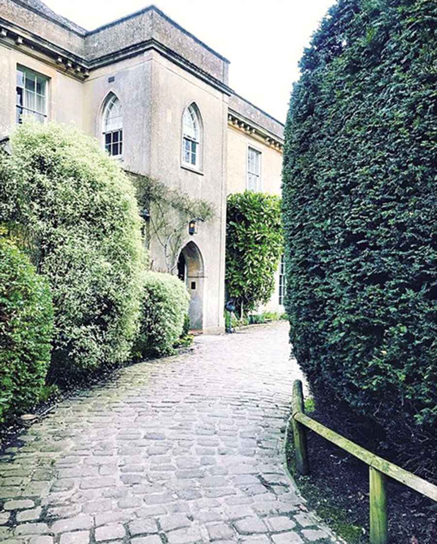 Buzzzz-o-Meter: Allbirds Tree Toppers Sneakers, Babington House and More That Hollywood Is Buzzing About This Week