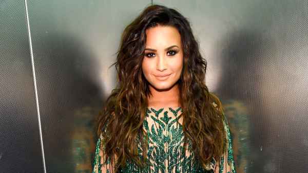 demi lovato fat any size
