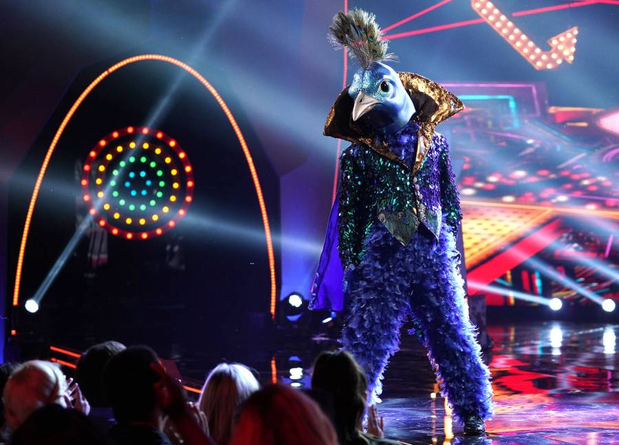 ‘The Masked Singer’ Unveils Final Contestants: Were Your Guesses Right?