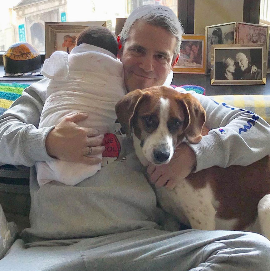 Andy Cohen Celebrates Valentine's Day With Baby Benjamin and Dog