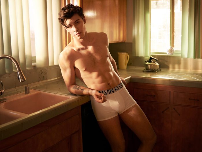 Celebs React to Shawn Mendes' Shirtless Calvin Klein Ads