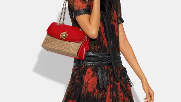 Coach Lunar New Year