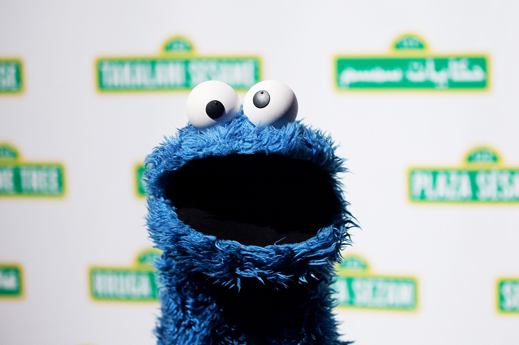 Cookie Monster