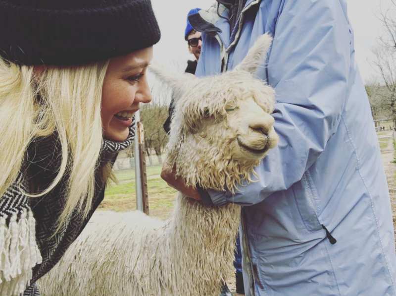 Hilary-Duff-Gets-Alpaca