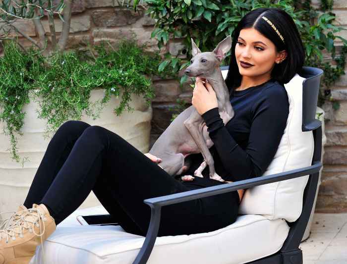 Kylie Jenner Reveals What Happened Dog Norman