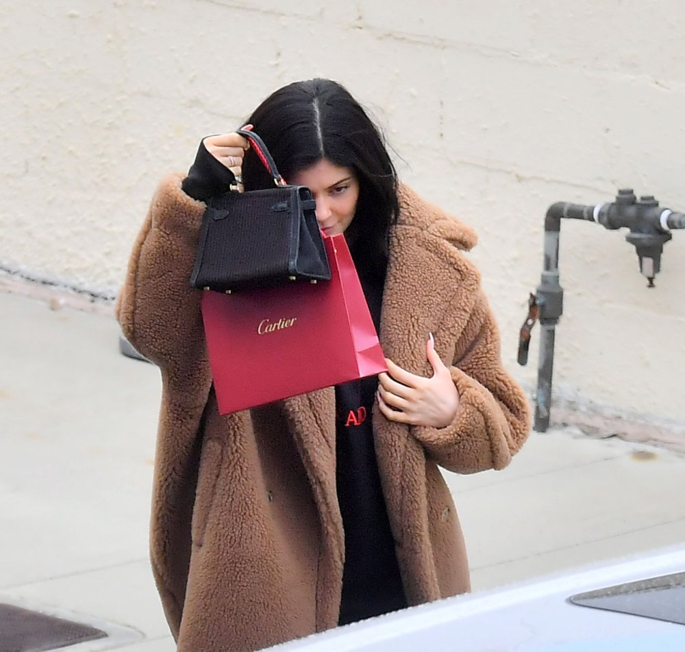 Kylie Jenner Hides Behind Bags in First Outing Since Scandal: Pic