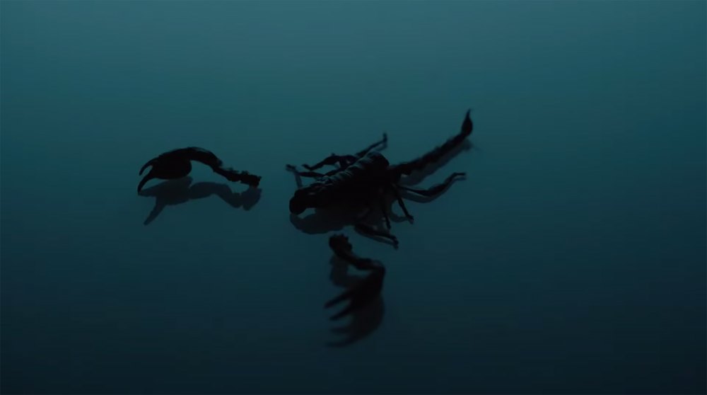 Twitter Is Convinced Nicki Minaj Is Dissing Drake in Her &lsquo;Hard White&rsquo; Music Video