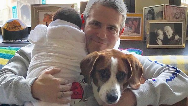 andy-cohen-baby-dog