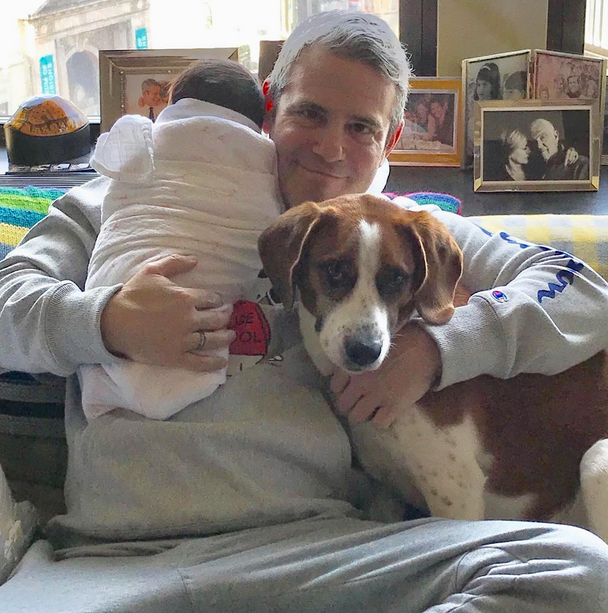 andy-cohen-baby-dog