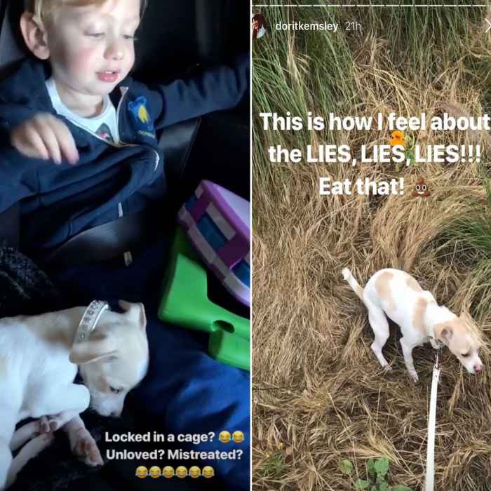 Dorit Kemsley Posts Proof She Didn't Mistreat Dog Lucy Amid PuppyGate