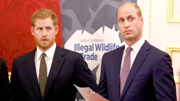 Is-There-a-Rift-Between-Harry-and-William
