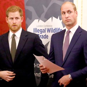 Is-There-a-Rift-Between-Harry-and-William