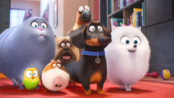 'Secret Life of Pets 2' Snapchat Filter Allows Your Dog, Cat to Come to Life