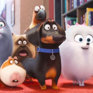 'Secret Life of Pets 2' Snapchat Filter Allows Your Dog, Cat to Come to Life