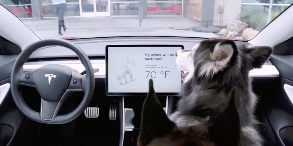 Tesla to Unveil &lsquo;Dog Mode&rsquo; Feature That Will Allow Temperatures to Be Regulated for Pets Left in Cars