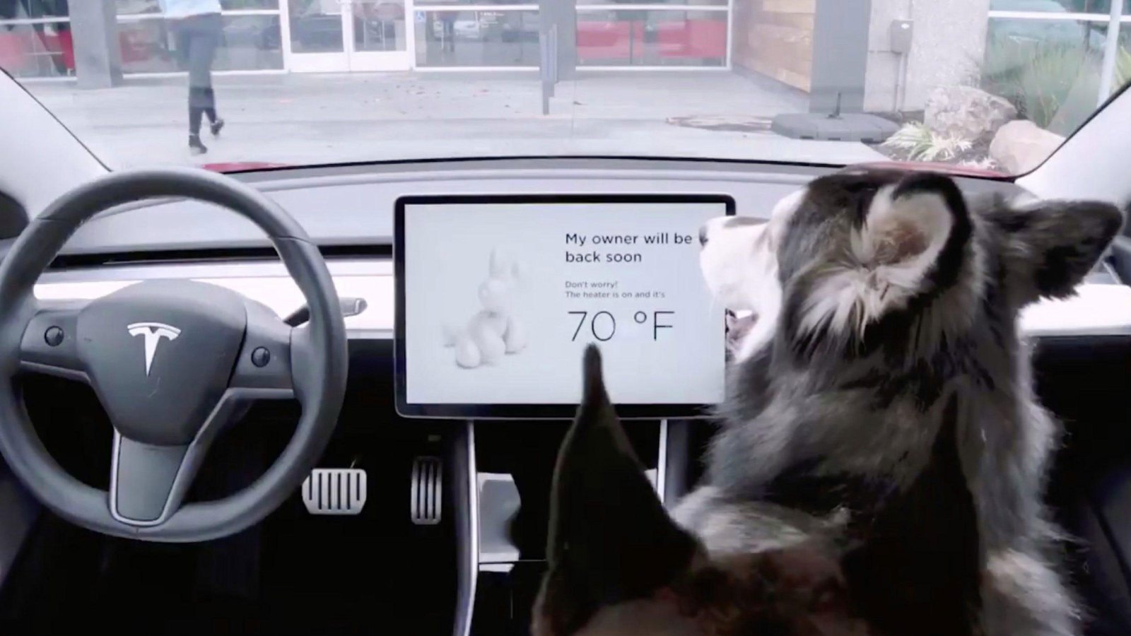 Tesla to Unveil ‘Dog Mode’ Feature That Will Allow Temperatures to Be Regulated for Pets Left in Cars