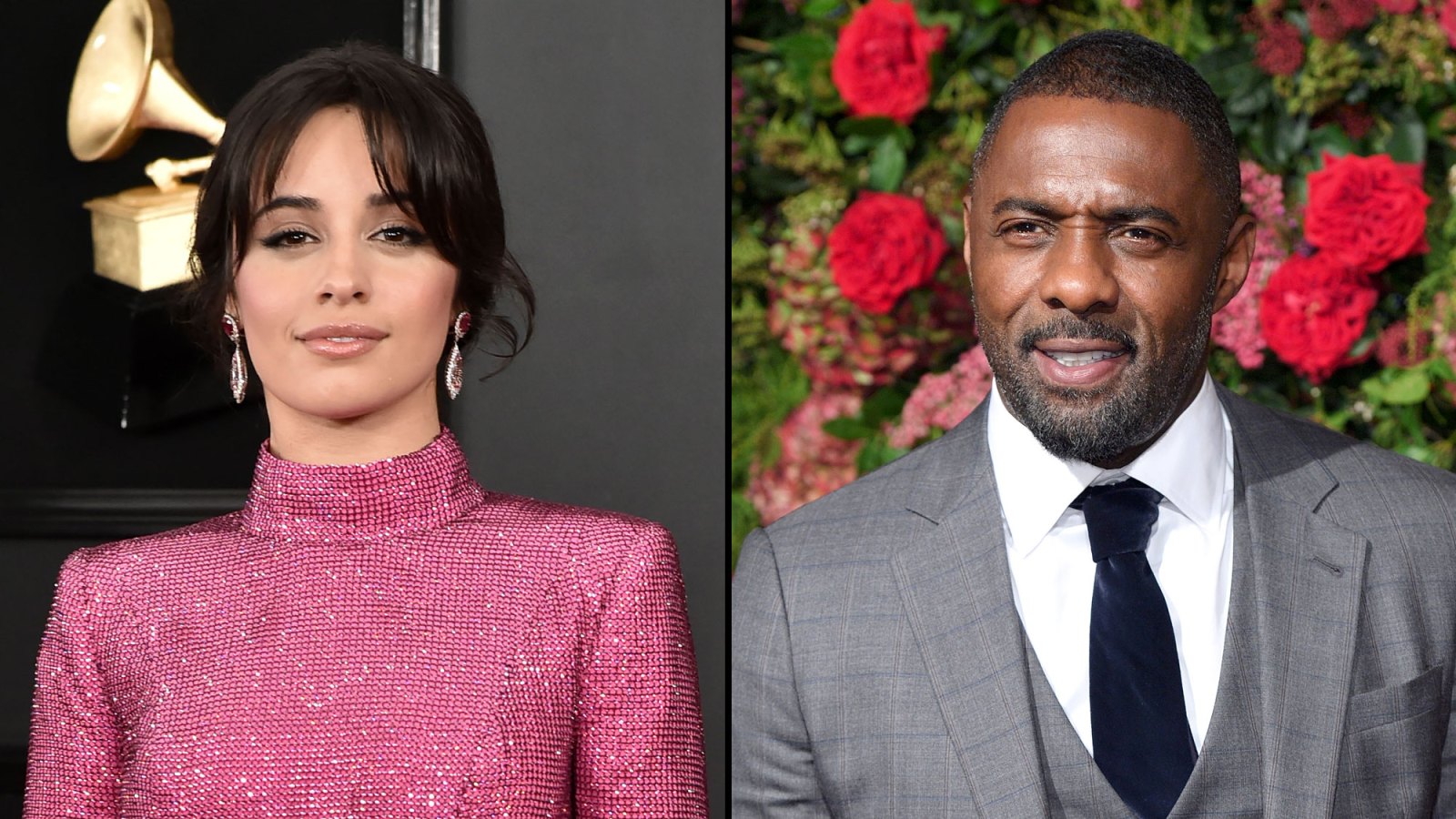 Camila Cabello and Idris Elba React to Notre Dame Fire
