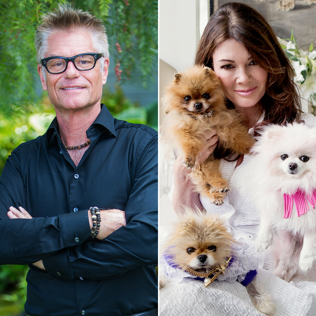 Harry-Hamlin-Thinks-Lisa-Vanderpump-Has-a-Secondary-Agenda-With-PuppyGate-2