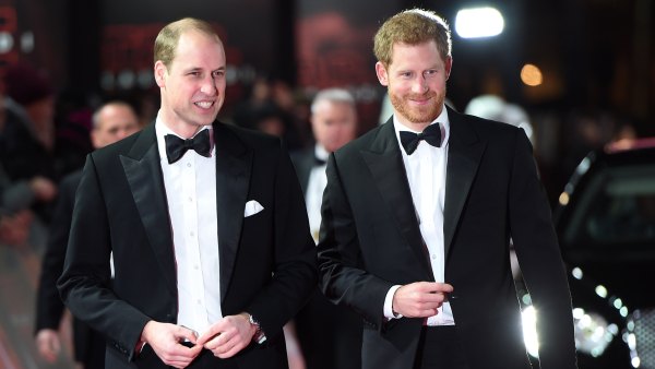 Prince William and Prince Harry Very Close