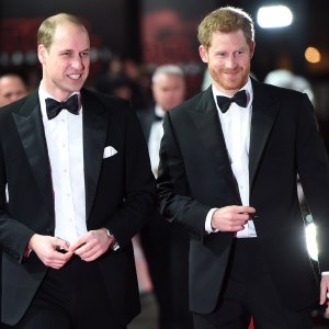 Prince William and Prince Harry Very Close