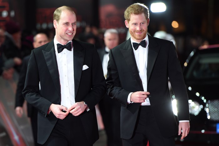 Prince William and Prince Harry Very Close