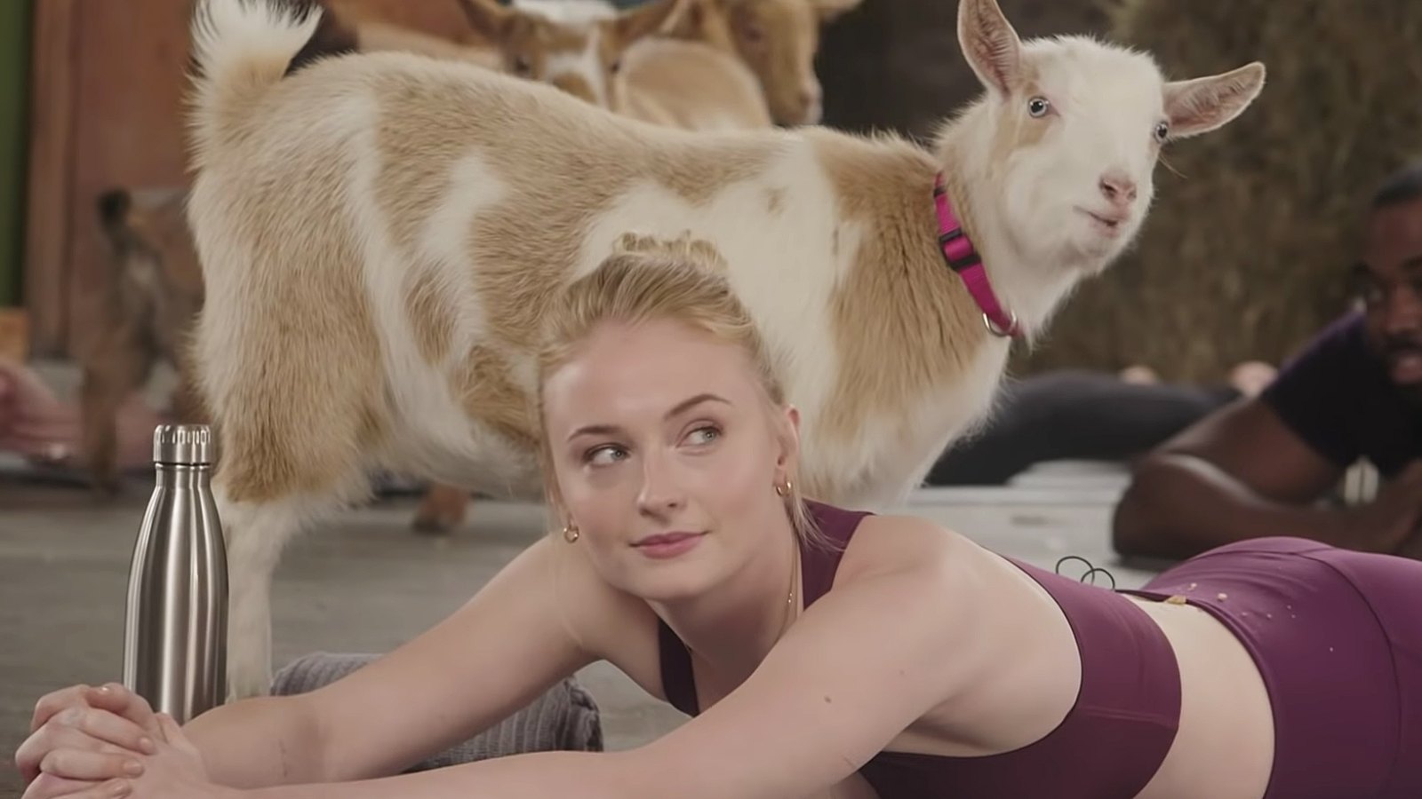 Sophie Turner Goat Yoga