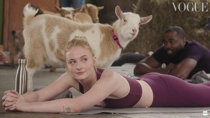 Sophie Turner Goat Yoga