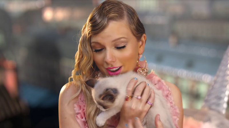 Taylor-Swift-Me-cat