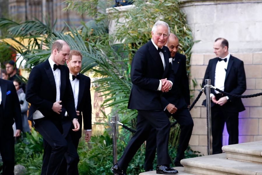 Royal Trio! Prince Charles, Prince William and Prince Harry Step Out Together for Rare Photo