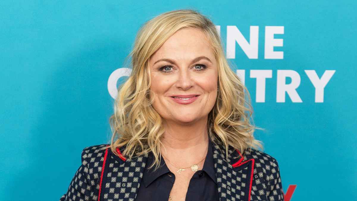 Amy Poehler Hangover Cure