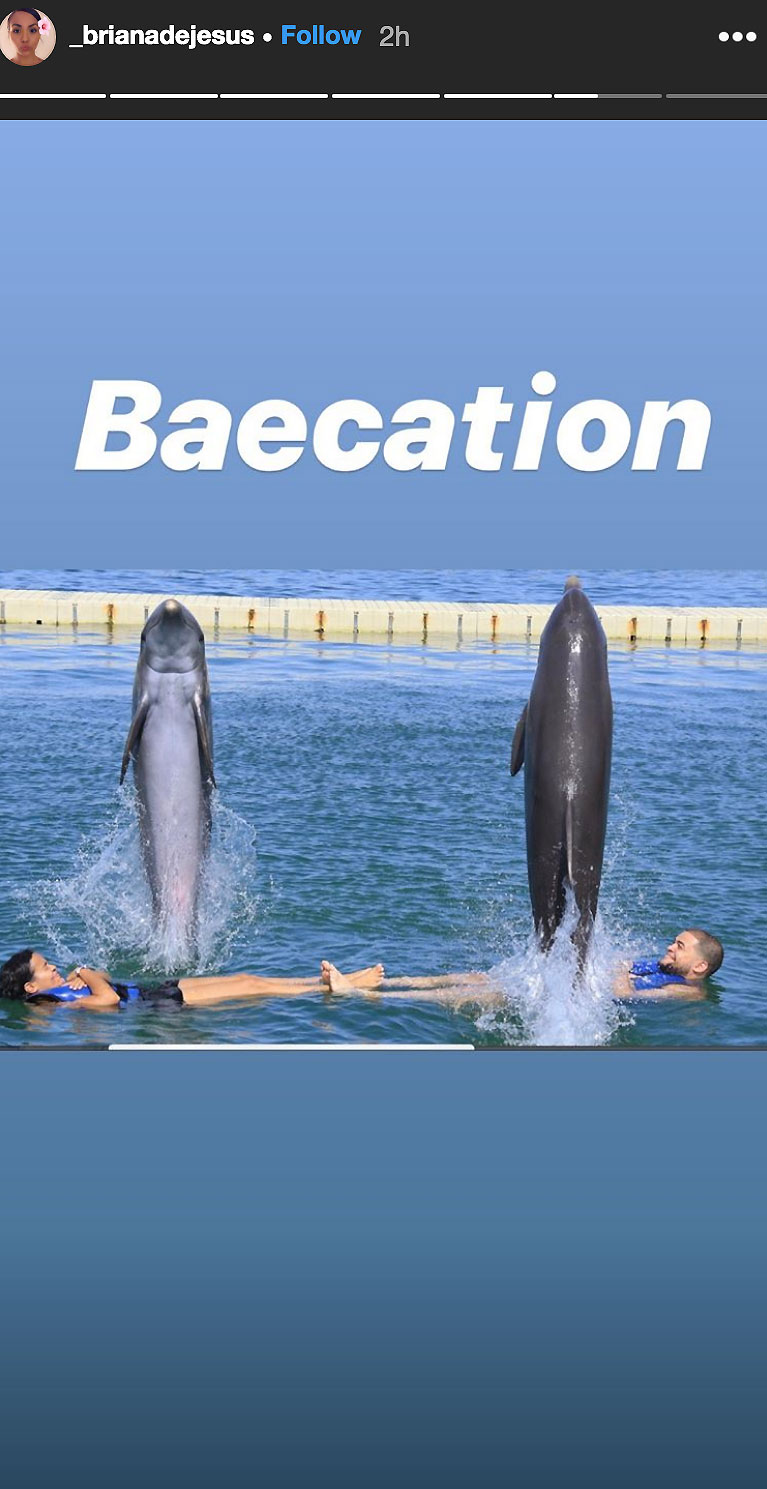Briana DeJesus Anniversary Dolphins