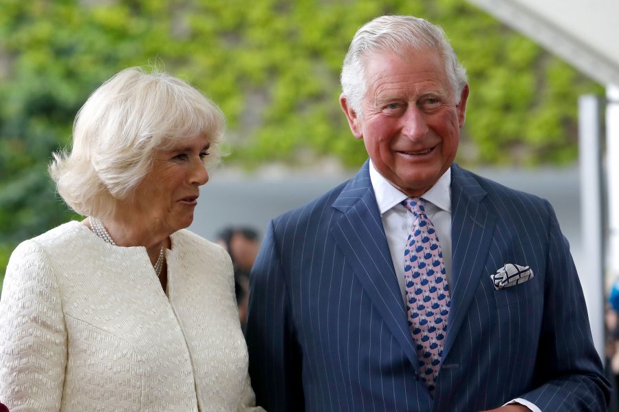 Camilla, Duchess of Cornwall and Prince Charles React to Birth