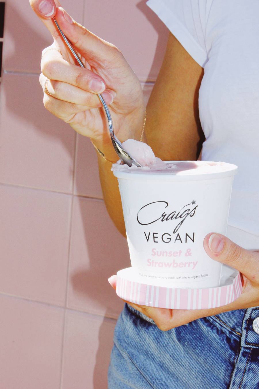 Craig’s-Vegan-Ice-Cream