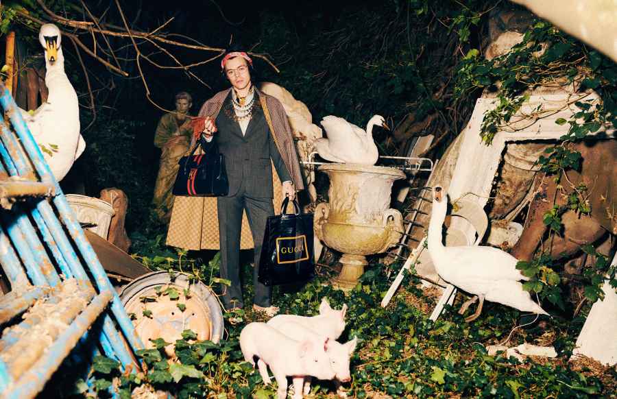 Harry-Styles-Gucci-Campaign
