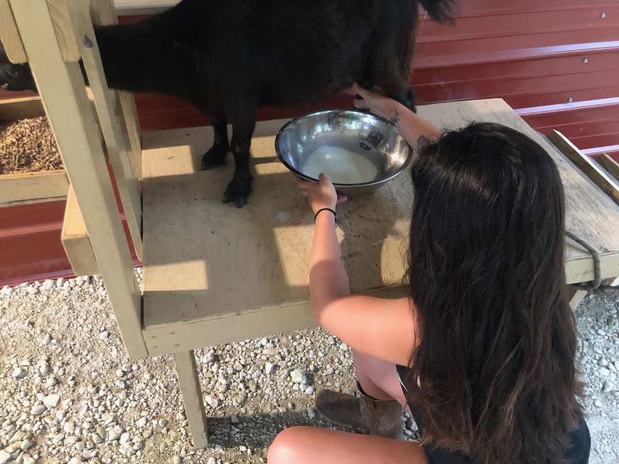 Jenelle Evans Quotes Gallery