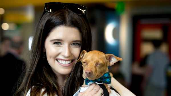 Katherine Schwarzenegger Says Dogs Prepare For Parenthood
