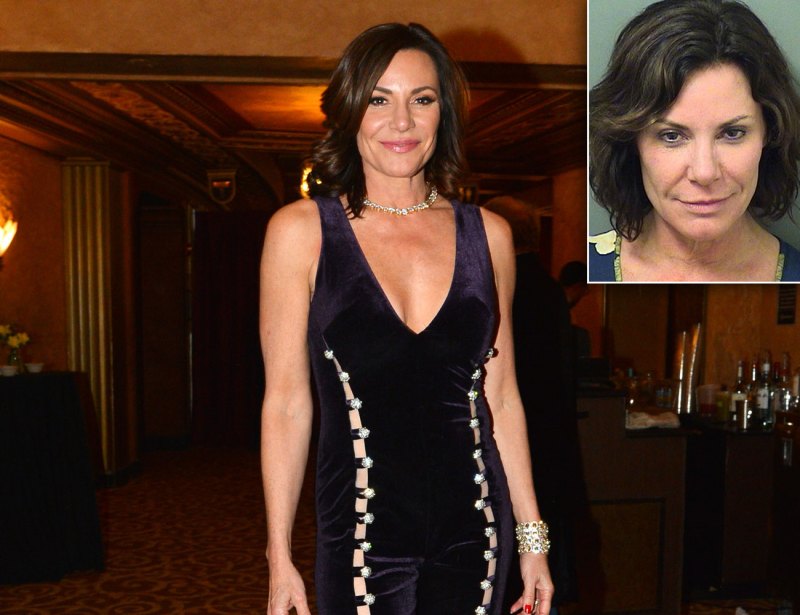 Luann de Lesseps’ Ups and Downs A Timeline of the ‘Real Housewives of New York City’ Star’s Struggles-Mugshot