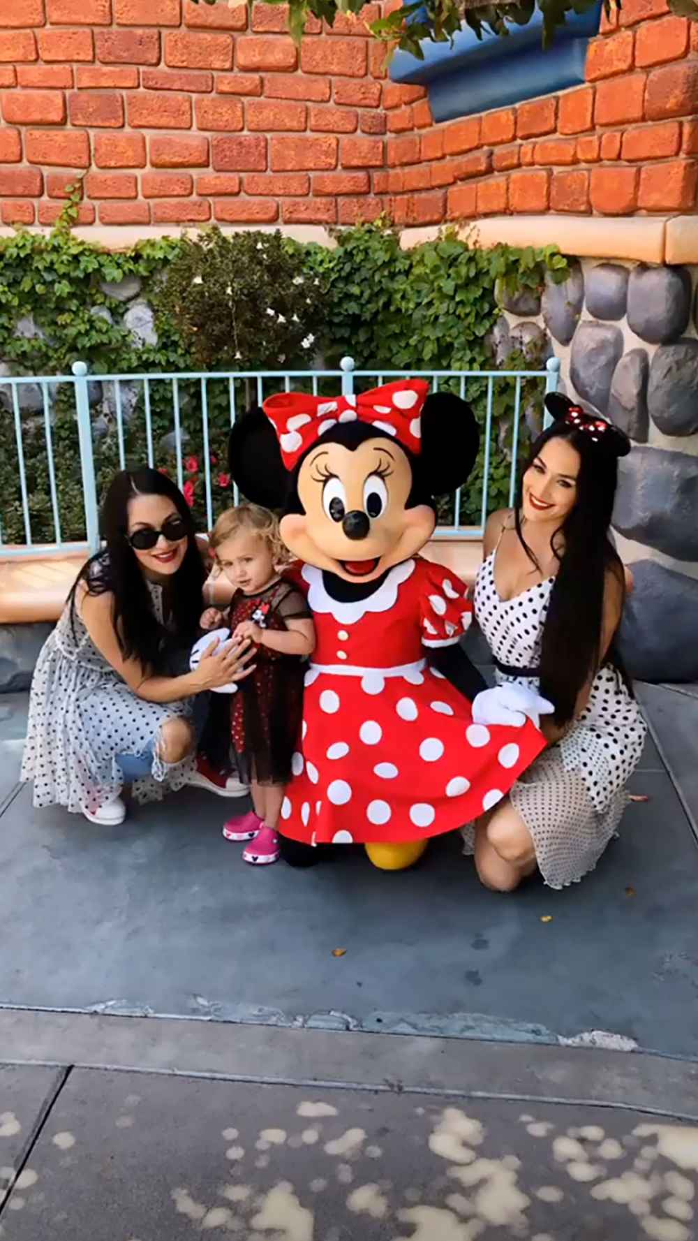 Nikki Bella and Artem Chigvintsev Double Date With Brie Bella at Disneyland
