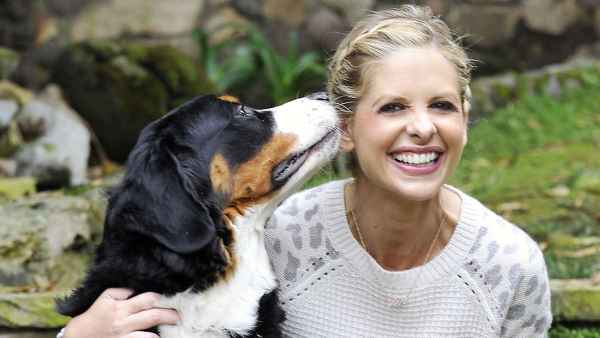 Sarah Michelle Gellar Dog Bella Dead