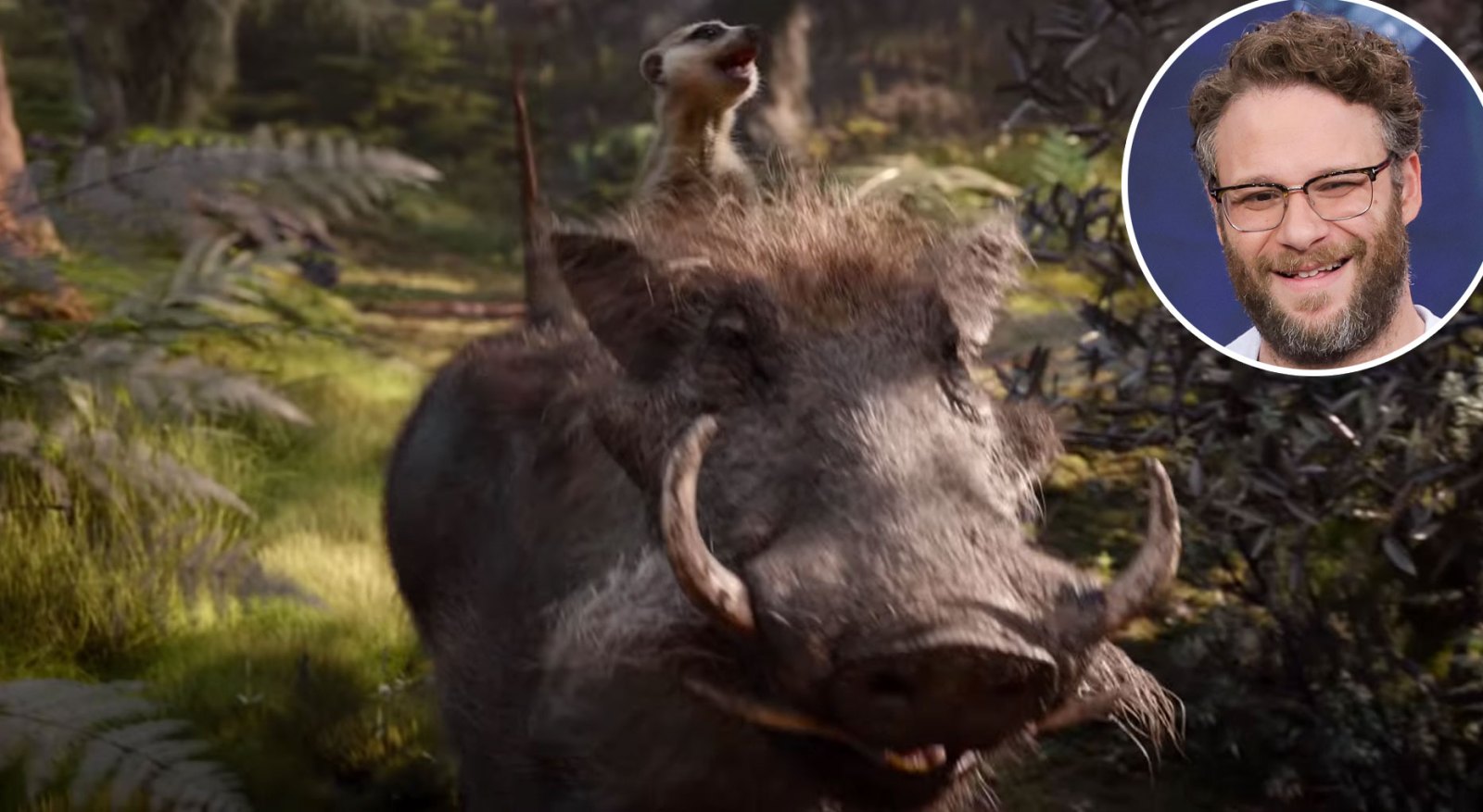 Seth Rogan Pumba Lion King Voice Over Disney and Pixar Characters