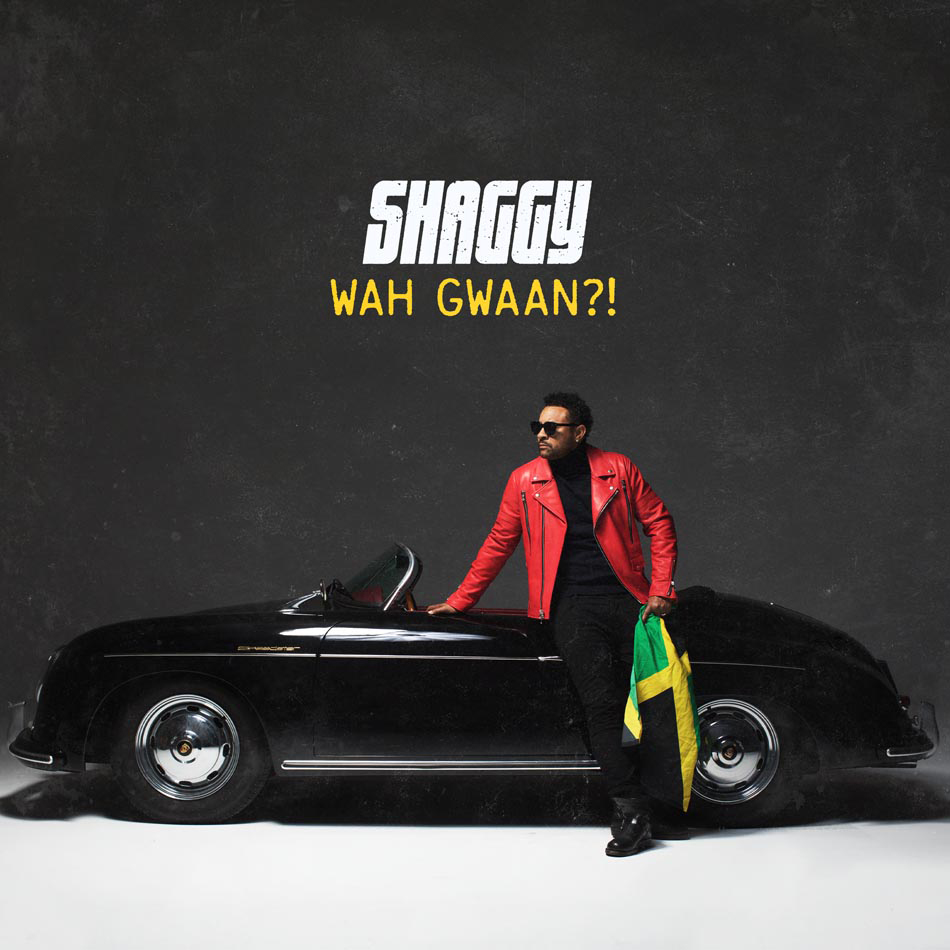 Shaggy-Album-Cover