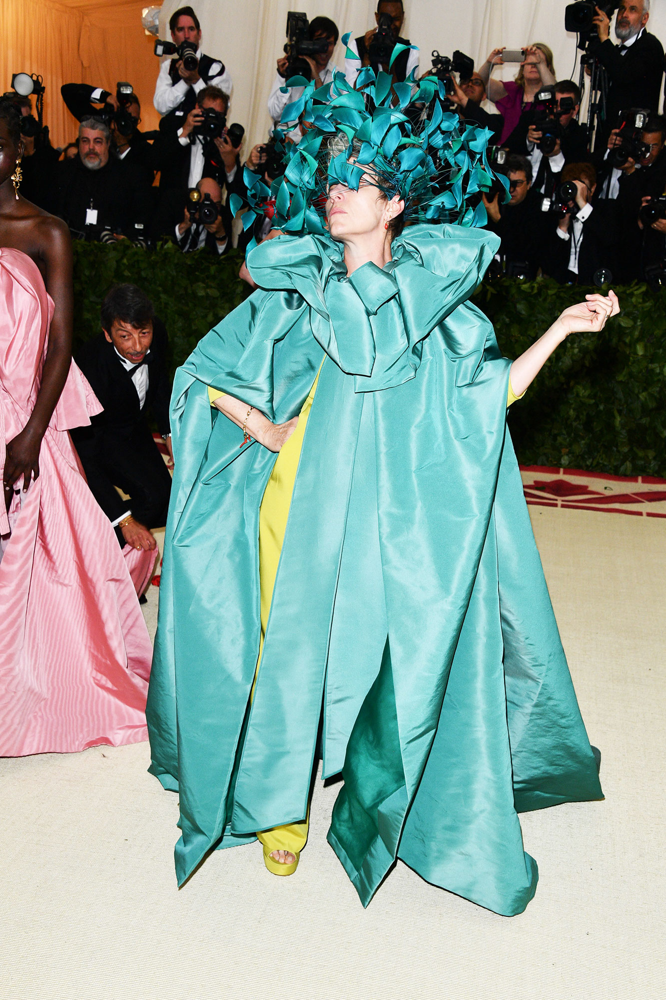 Frances McDormand The Wild Met Gala Red Carpet Fashion Looks We Can't Stop Thinking About