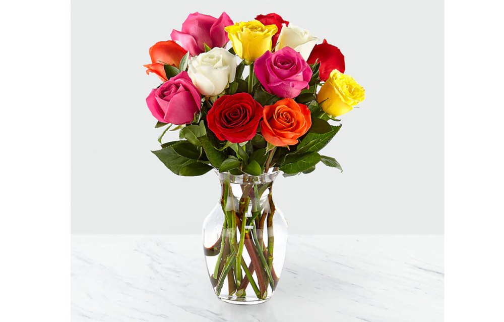 roses-pic