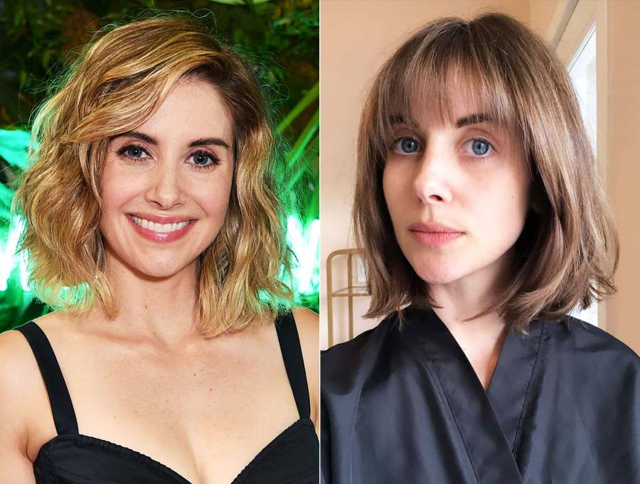 Alison Brie From Blonde to Brunette