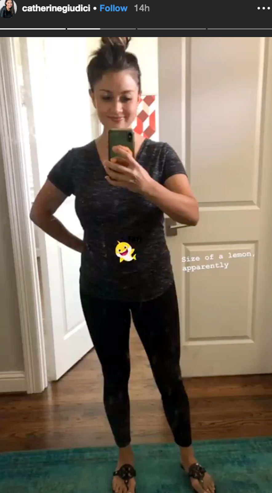 Catherine Giudici Shows Off Baby Bump 1 Week After Pregnancy Announcement ‘Size of a Lemon’ Instagram Story