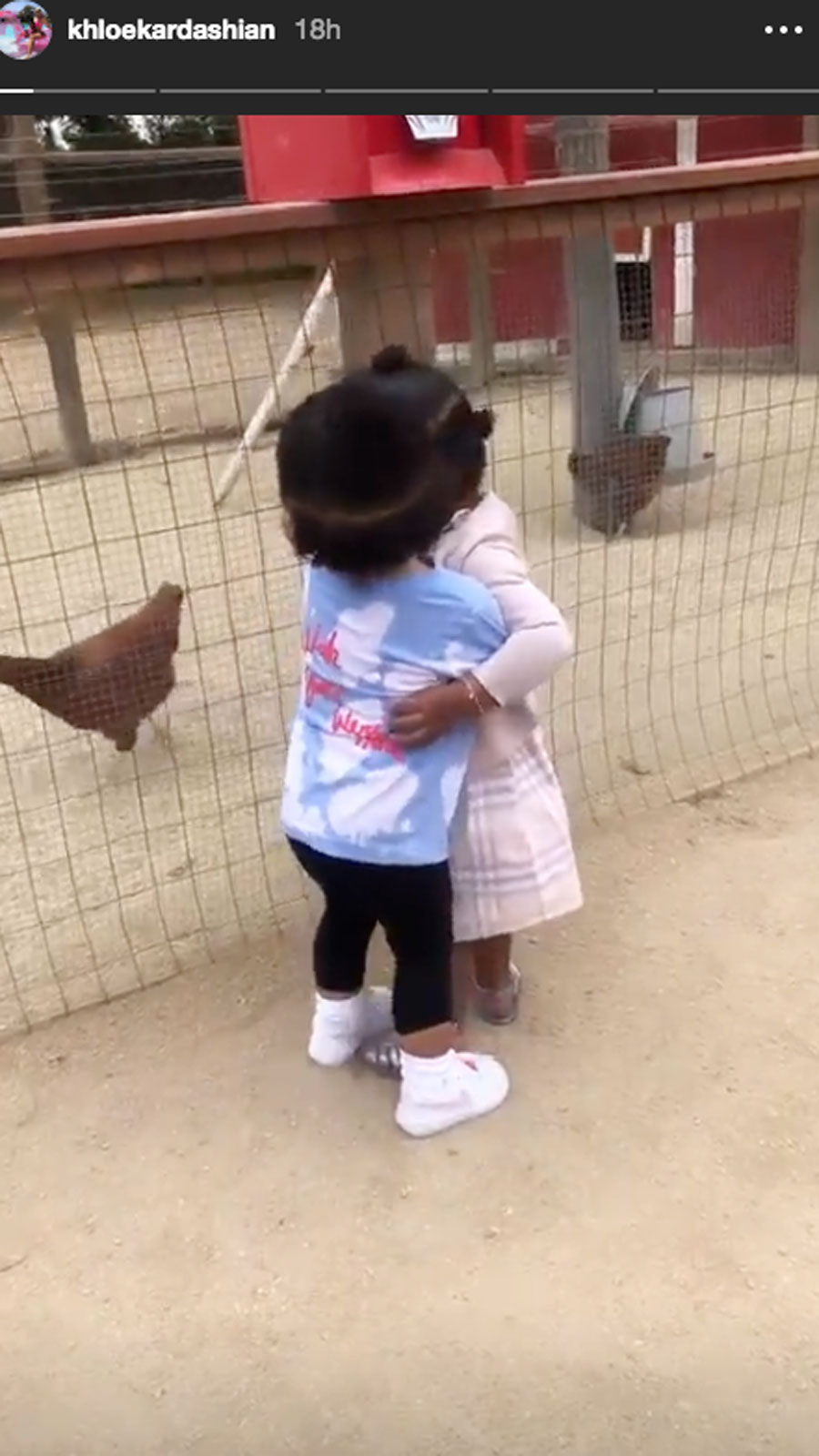 Chickens! Horses! Hugs! Inside True Thompson and Stormi Webster’s Farm-Filled Day Instagram Story